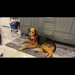 Meet your Posher, Carlee